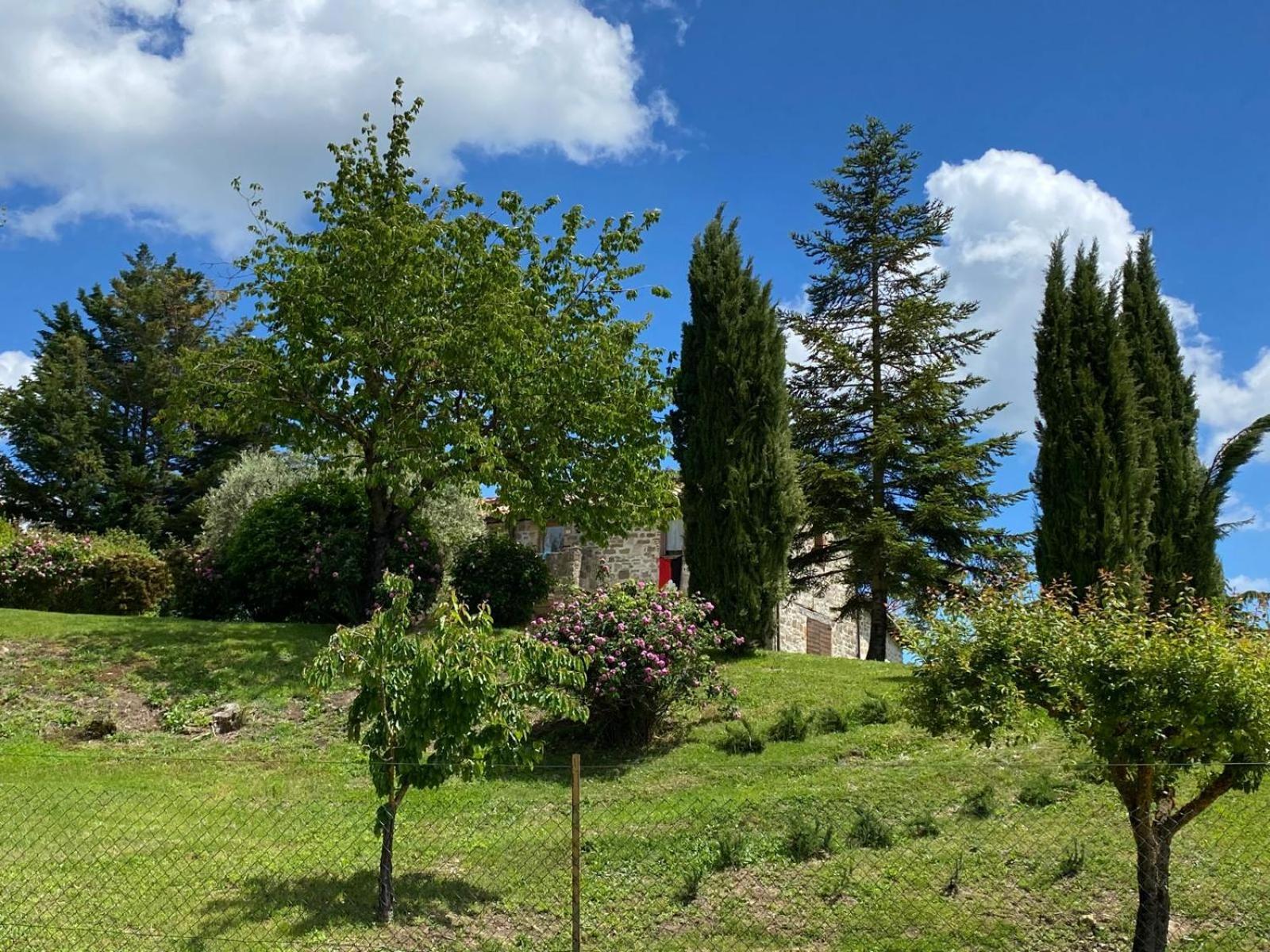 Pilgrim Rooms Gubbio Exterior photo